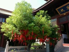 android_upload_pic-亭林园-华藏寺