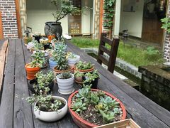 -湖光月色临湖音乐餐厅(台儿庄古城店)