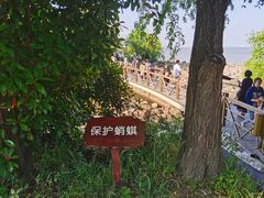 -吴淞炮台湾湿地森林公园烧烤区