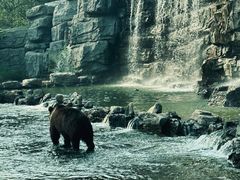 -北京野生动物园