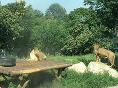-西安秦岭野生动物园