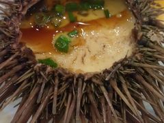 海胆蒸蛋-海岛渔村大酒店(云霄路店)