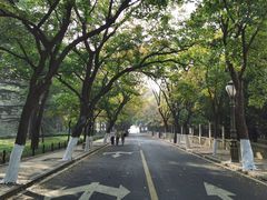 -八大关-近代建筑
