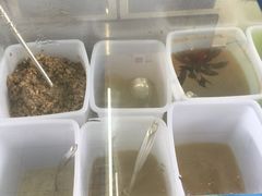 -润叶堂凉茶(岩屿路店)