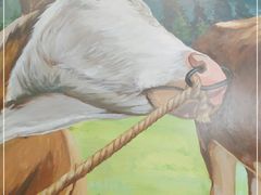 -黑山牛肉汤火锅(花城汇店)