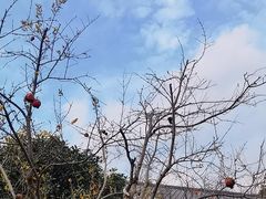 -法华学问寺-停车场