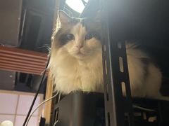 -白兔子密室(长寿路店)