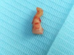 -青岛市口腔医院(总院)