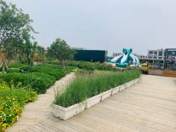 -小蜜蜂农场(凯德七宝购物广场店)