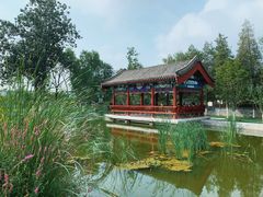 -西海子公园
