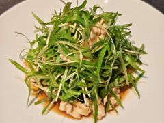 油醋汁浸坚果空心菜苗-广舟(千禧店)