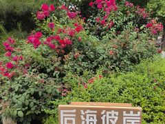 -后海彼岸花园餐厅