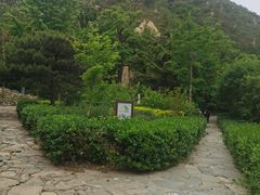 -北京鹫峰国家森林公园