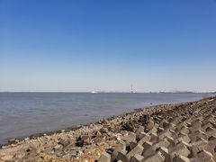 -上海滨江森林公园
