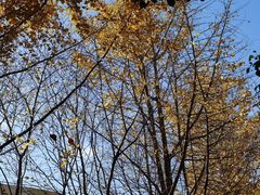 -青浦太阳花双语私立幼儿园