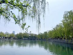 -济南大明湖景区