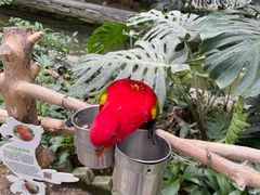 -南宫五洲植物乐园