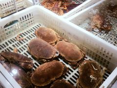 面包蟹-盒马鲜生(虹桥店)