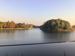 -上海市保健医疗中心