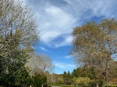 -红山国家森林公园