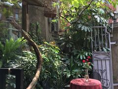 -杨桃院子咖啡吧(中华红墨店)