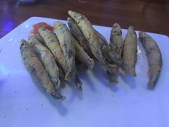 -hallch好吃餐厅(奥体中心店)