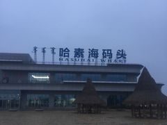 -哈素海