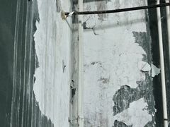 -东丽温泉羽毛球