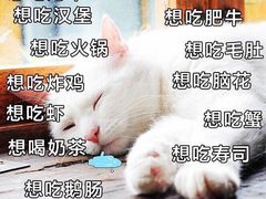 -周记热干面豆皮大王(桃花东街店)