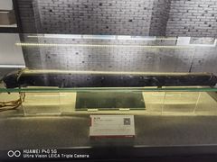-平原博物院