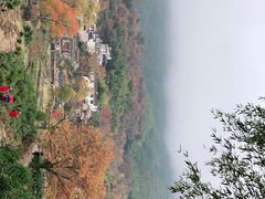 -塔川景区