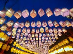 -青龙湖公园