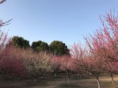 -南湖湿地公园