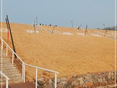 -佛手湖郊野公园