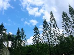 -红色娘子军纪念园