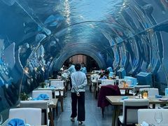 -涛·海底餐厅·美人鱼·自助餐·海底隧道(三亚海棠湾洲际度假酒店)