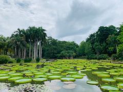 -中国科学院西双版纳热带植物园