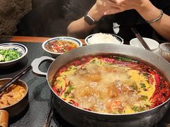-滇牛云南火锅(桂林路店)