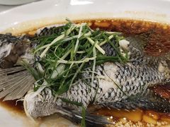 清蒸花斑-金华安大酒楼·老牌潮菜·粤式茶点(东方国际店)