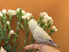 -钉子咖啡·Nail coffee(天鸿店)