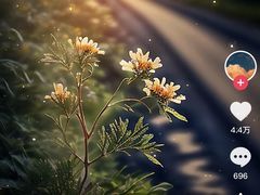 -兔途体检(十里堡青年路店)