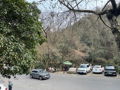 -龙井壹号·茶缘山景宴(龙井村店)