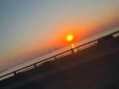 -利群胶州购物广场(澳门路店)