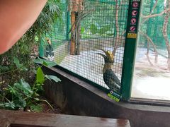 -海南热带野生动植物园