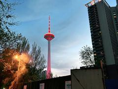 -辽宁电视塔