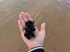 -那香海钻石沙滩浴场