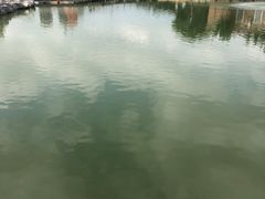 -绿岛公园(滨海新区)