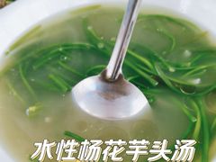 -马帮菜馆·美味野生菌