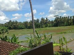 iphone_upload_pic-Warung Babi Guling Ibu Oka 3