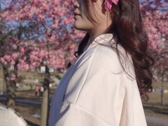 -风云岭森林公园